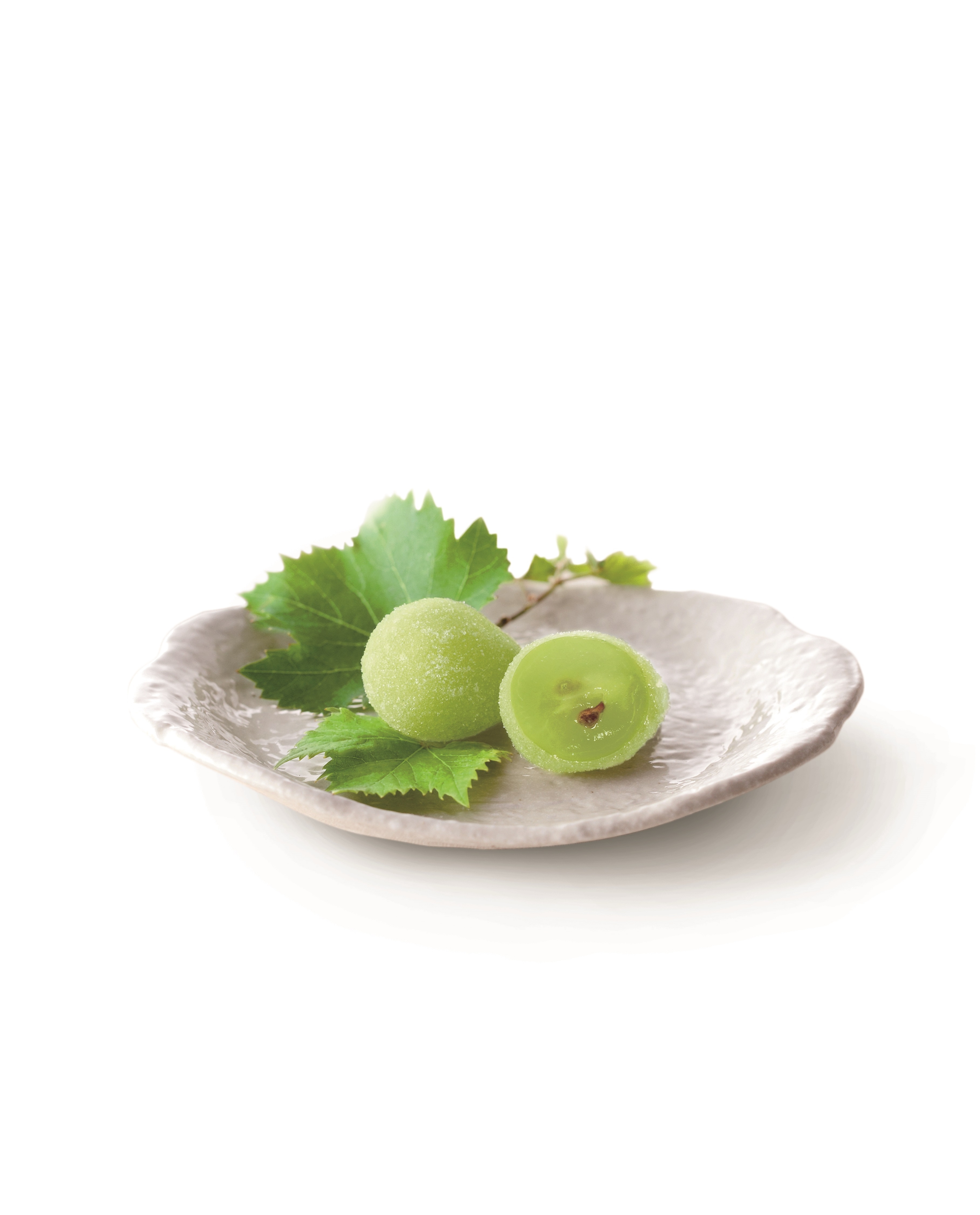 <宗家 源 吉兆庵>陸乃宝珠