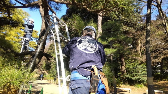 美しい庭園維持のためのお手入れ