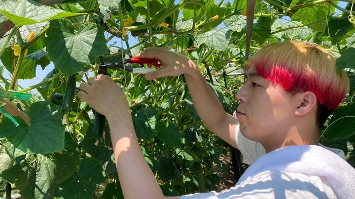 FANTASTICS畑 全員集合!福島夏野菜スペシャル 場面写真(8)