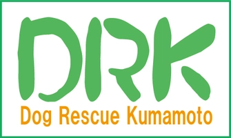 ドッグレスキュー熊本