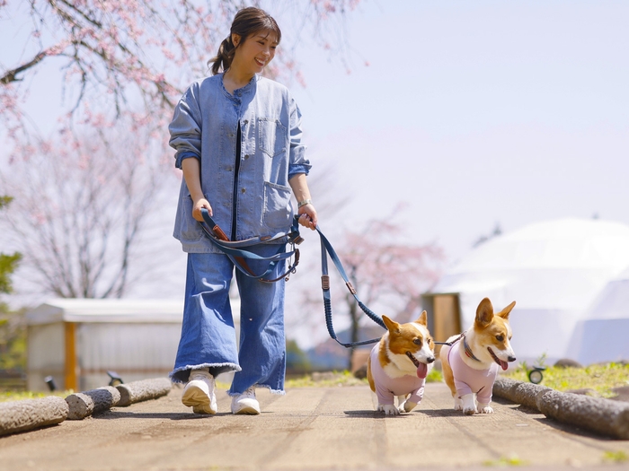愛犬と誕生日や記念日旅行