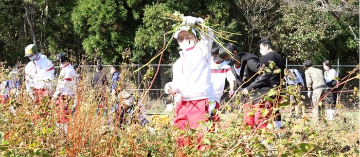 令和4年度（2022年度）の近畿大学附属生石農場でのソバの収穫体験学習の様子