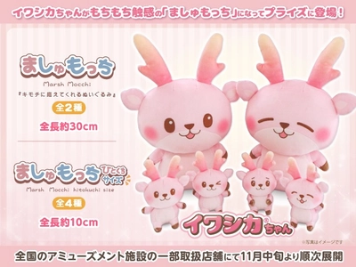 イワシカちゃんがプライズに！「ましゅもっち」「ましゅもっちひとくちサイズ」が全国のアミューズメント施設の一部取扱店舗で11月中旬から順次展開