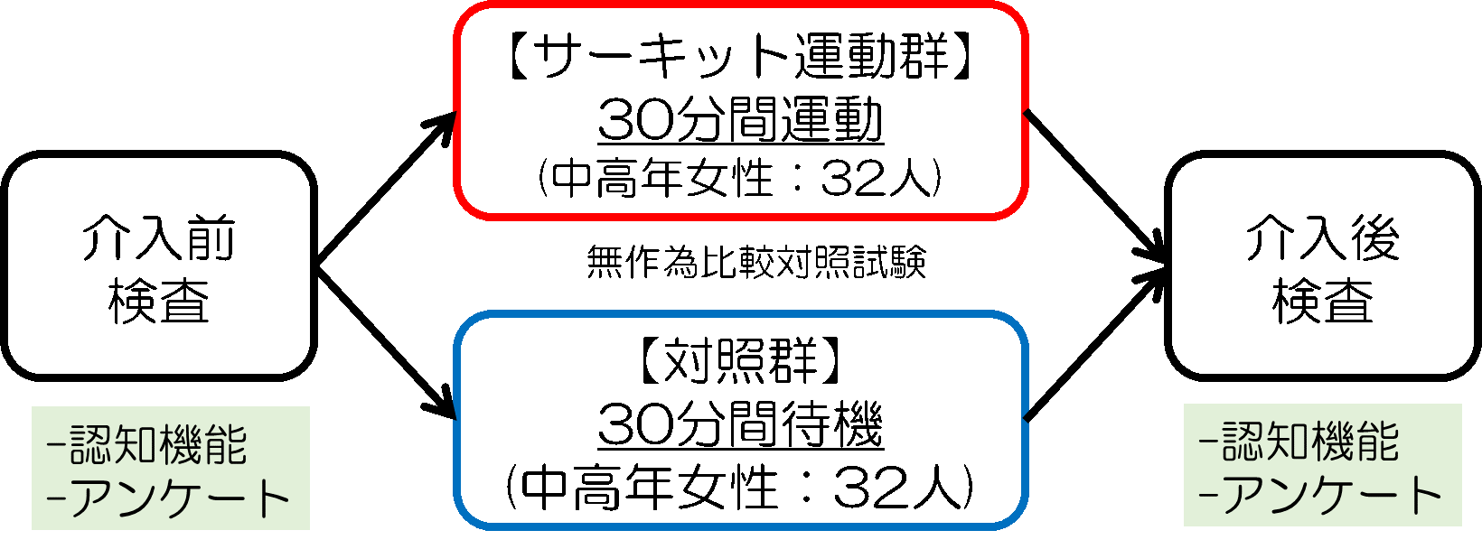 図1 研究の方法の概要(東北大提供)
