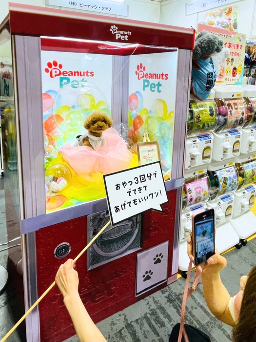 カプセルトイ自販機型フォトブースが登場しました