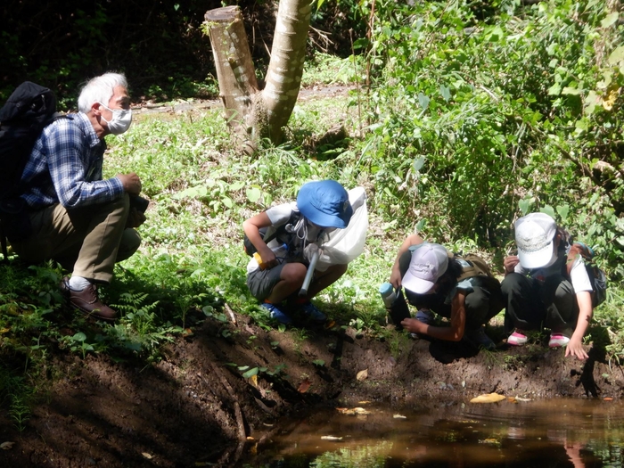 水の中にはどんな虫がいるかな?
