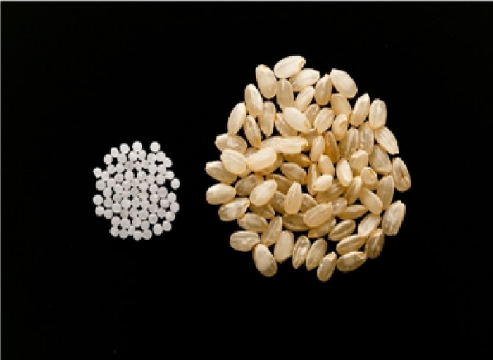 <楯の川酒造>のこだわり 2016BY