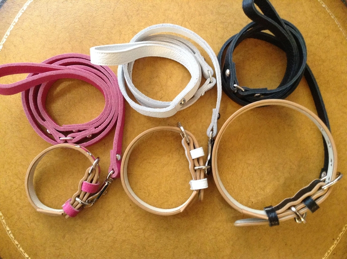首輪とリード(S・M・L)