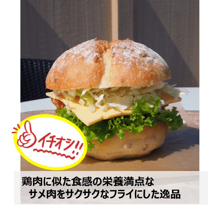 画像:道の駅 大谷海岸