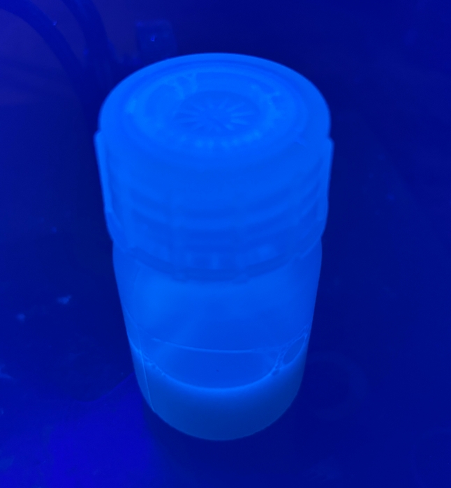 農薬としての効果を確認した有機バイオマス系廃棄物から合成した量子ドット(紫外線照射下)