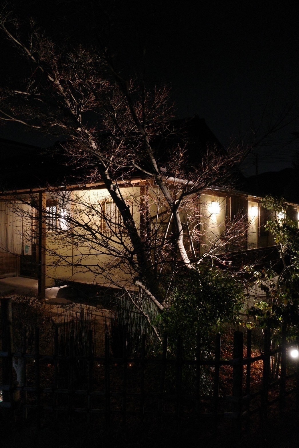 bistro yummy 外観 夜