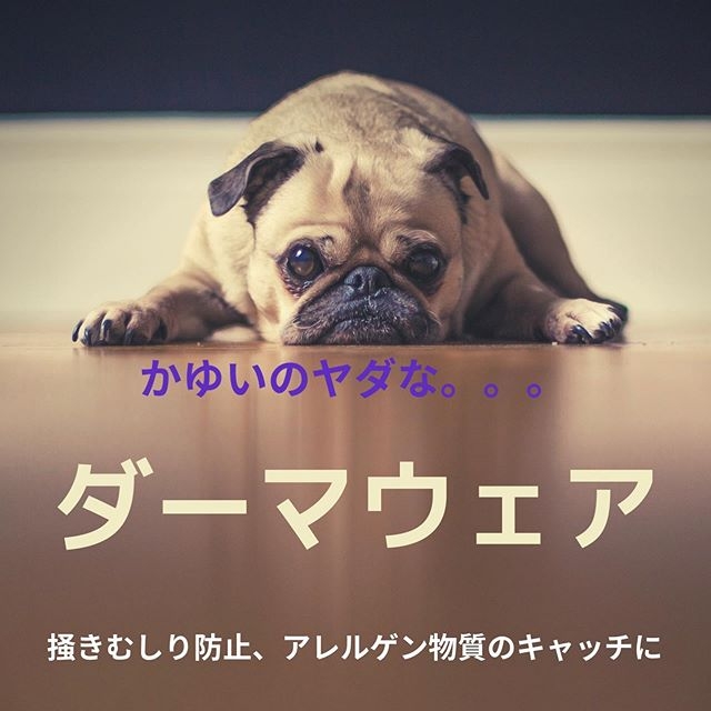 DERMA WEAR(ダーマウェア)