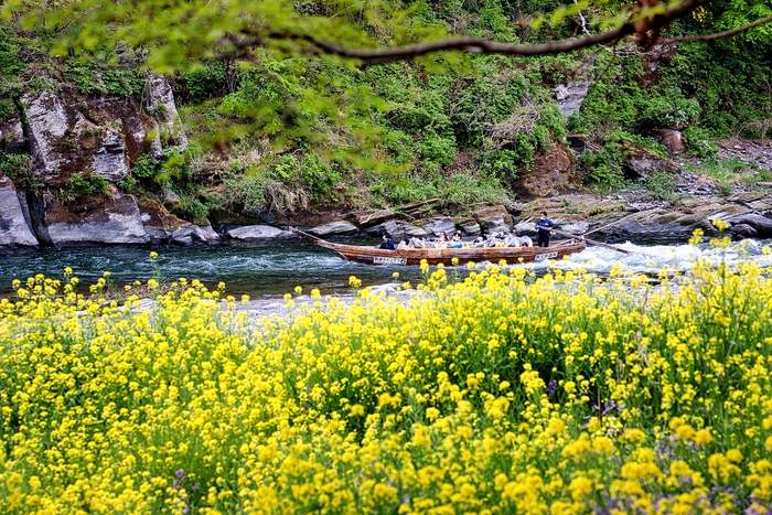 長瀞ラインくだり イメージ3