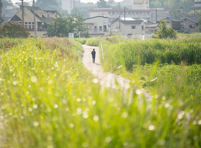 手賀沼沿いに続く散歩道