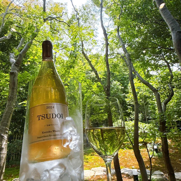 庭園とTSUDOI 2024