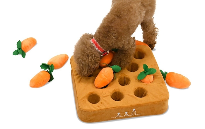 ペットのノーズワークに!ぬいぐるみの下におやつを隠して、早食い防止や嗅覚トレーニング