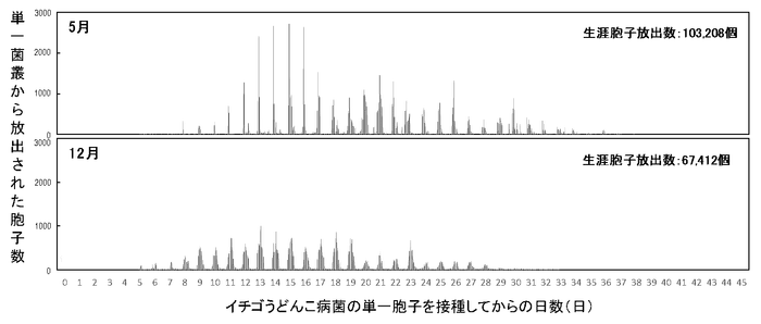 図1　静電気胞子回収装置を用いたイチゴうどんこ病菌（KSP-7N）の単一菌叢における生涯胞子放出数の測定
