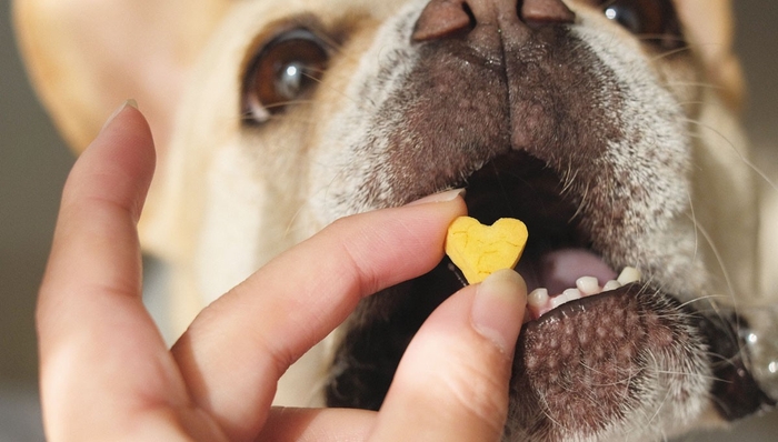 「“わけあえる”しあわせを、一緒に。」 犬と人、どちらにとっても安心して楽しめるおやつを。