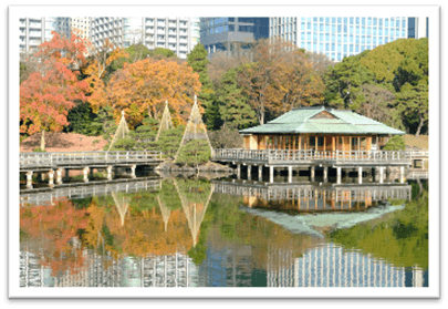 デジタル特典画像（イメージ）