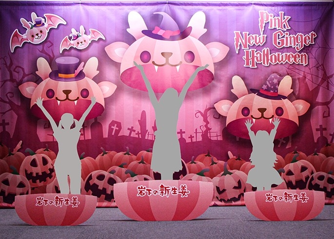 イワシカカボチャのトリックアート(撮影イメージ)