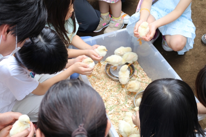 昨年の大泉風致地区公園会場の様子