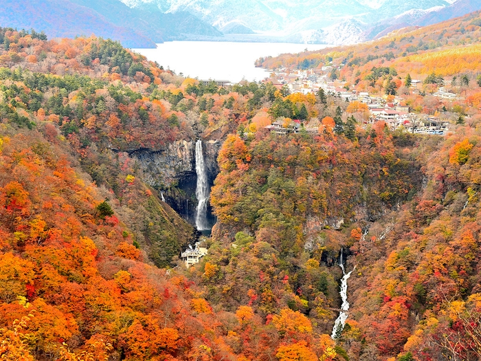 世界遺産の街を染める、赤と金のグラデーション