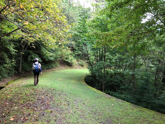 投稿例3(体力づくり)