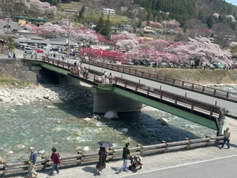 え！？ここが旅館の駐車場？ 長野県阿智村「昼神温泉 ひるがみの森」が駐車場を利用した 新名物スポットを2025年4月に本格オープン！