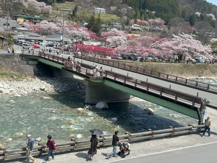 およそ5&#44;000本の赤や白、ピンクの花桃が咲き乱れます