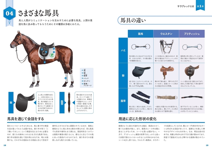 さまざまな馬具