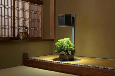 室内で盆栽を楽しむ新時代へ　 特許取得の『サイリウムスタンドライト』新発売