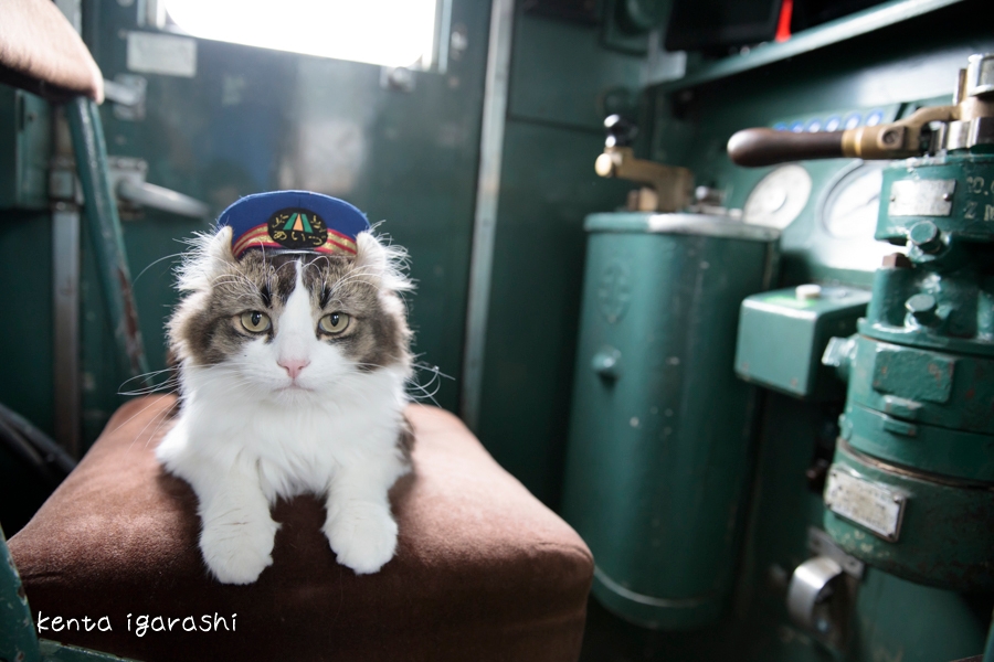 らぶ駅長(芦ノ牧温泉駅)