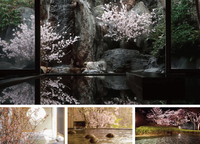 花見温泉イメージ(上から時計回りで:界 伊東、界 鬼怒川、界 遠州、界 松本)