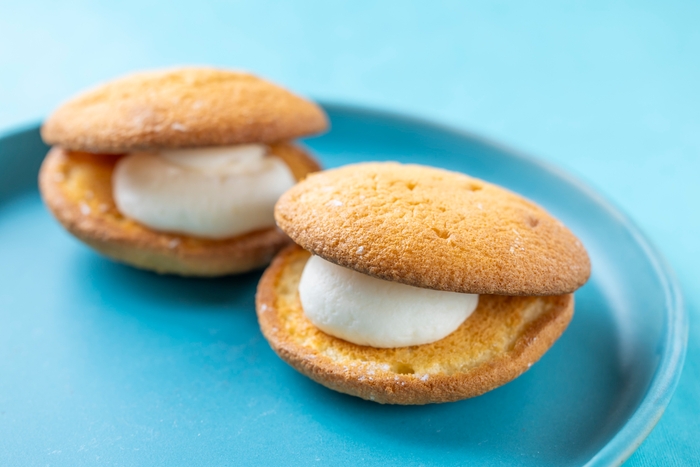 ヨーグルトブッセ 1個 250円/3個 820円/6個 1,640円