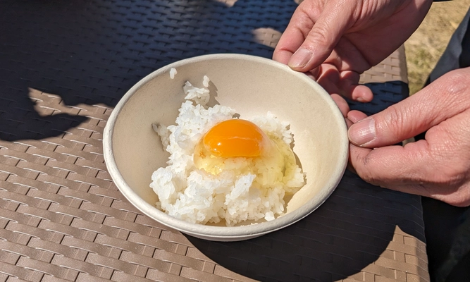 これを入れるとたまごかけご飯が最高においしくなる！ おすすめの「ちょい足し」レシピを教えてください！ あなたの推しTKG+1(ティーケージープラスワン)を大募集！