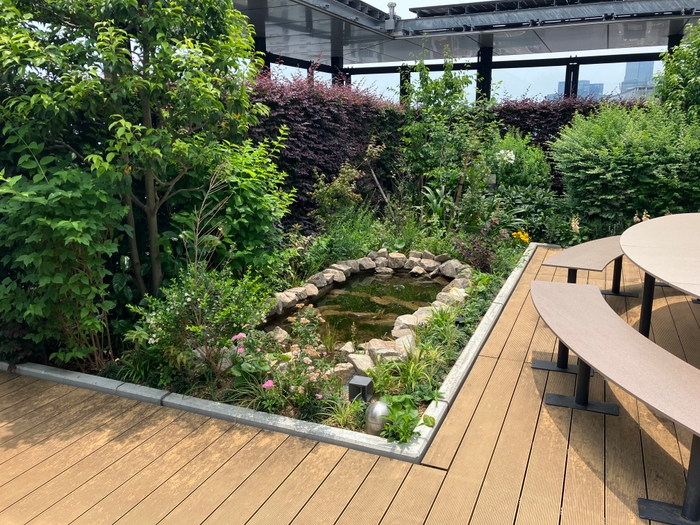 <ビオトープ設置後>