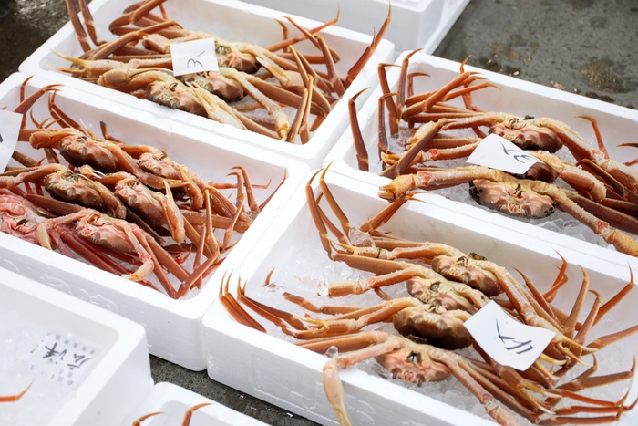 市場から鮮度を保ったまま各店舗へ送られる