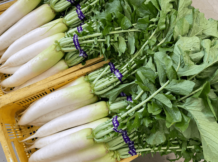 片手でつかみ取り・葉付き大根