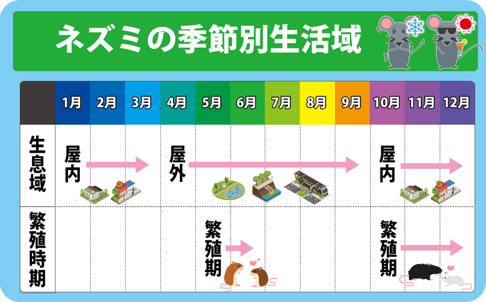 ネズミの季節別生息域