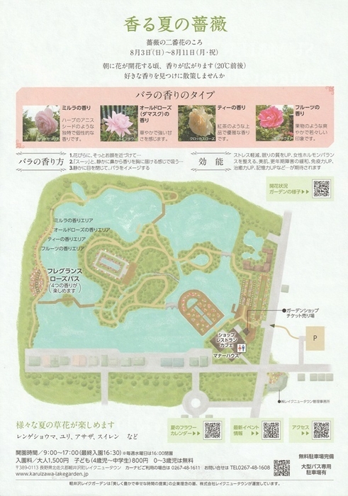 サマーシーズン2025 香る夏の薔薇