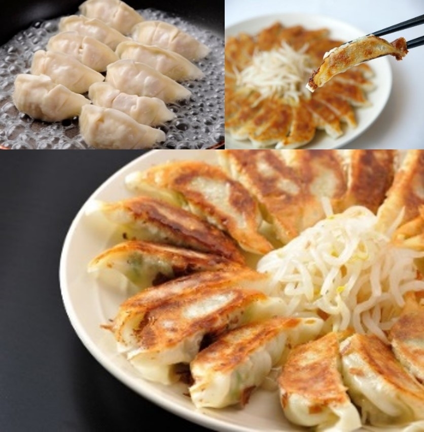 静岡県の野菜たっぷり 浜松餃子(餃子の村長)15ケ入×4パック