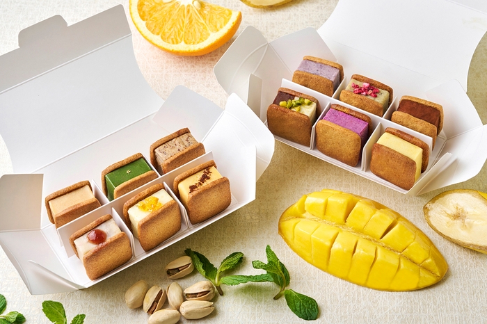 12種セット(ご自宅用)