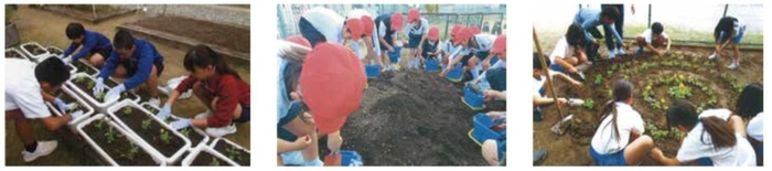 花の苗を植える様子(イメージ画像)
