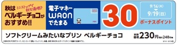 WAONボーナスポイント 販促画像