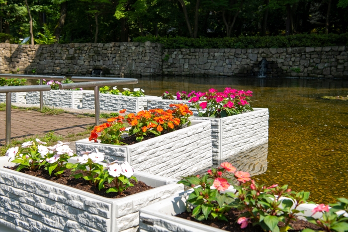 石垣壁泉水中花壇（昨年の様子)