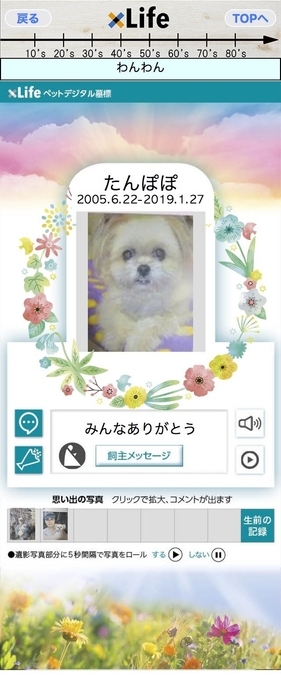 xLife ペットデジタル墓標