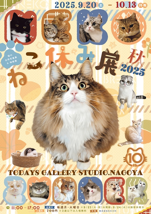 キービジュアル(縦)