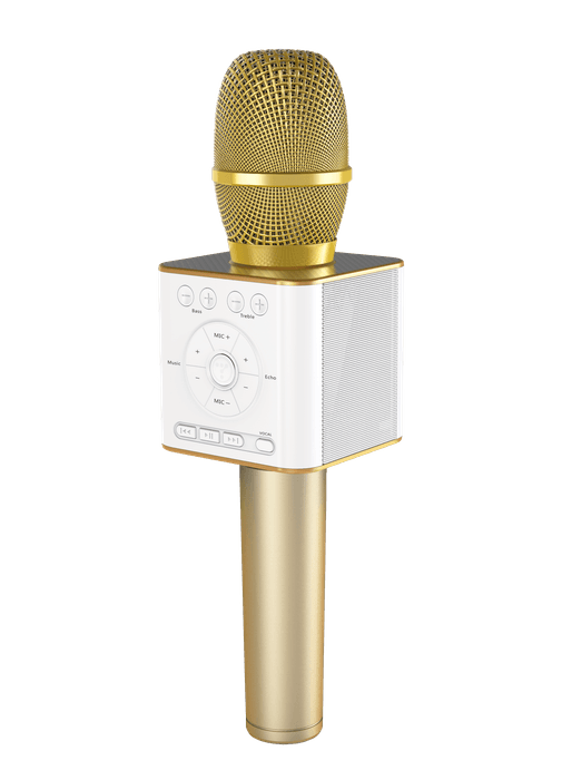 GP-BTDMIC/G(ゴールド)