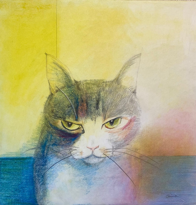 加藤あみな 、、、