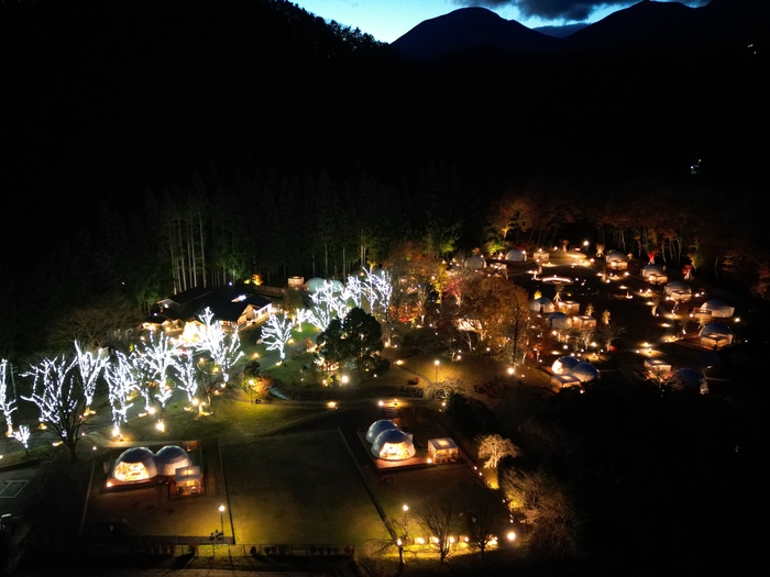 イルミネーションナイト2023 鳥観図